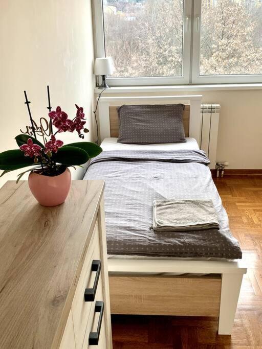 Sunkissed Apartment Beograd Eksteriør bilde
